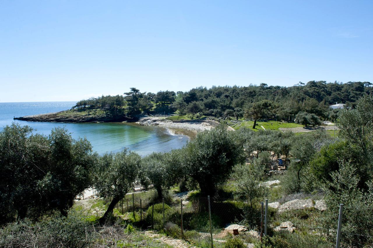 Studios Ntina Αλυκή Εξωτερικό φωτογραφία