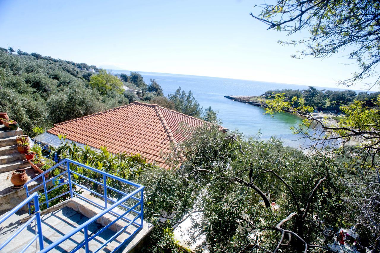 Studios Ntina Αλυκή Εξωτερικό φωτογραφία
